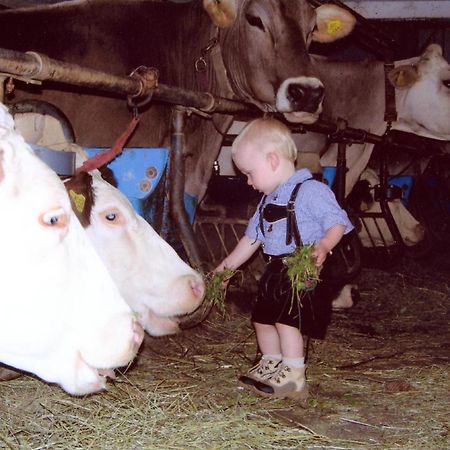 Ferienhof Rinnergut Hinterstoder Zewnętrze zdjęcie